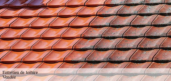 Toutes les informations à savoir sur les travaux de nettoyage des toits des maisons dans le 85 dans le Vendée