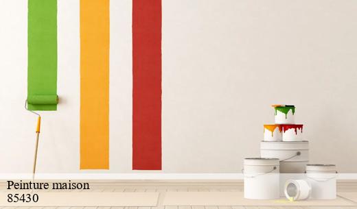Qui peut effectuer les travaux de peinture de maison à Nieul Le Dolent dans le 85430?
