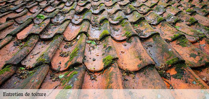 Ce qu'il faut savoir sur les travaux de nettoyage des toits des maisons à Commequiers