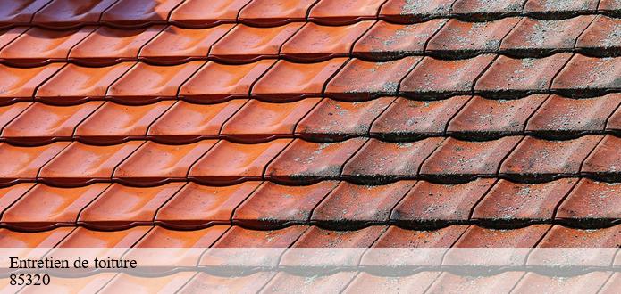 Tout ce qu'il faut savoir sur les travaux de nettoyage des toits à Corpe dans le 85320