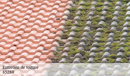 Les travaux d'entretien de la toiture à La Ferriere dans le 85280 et ses environs