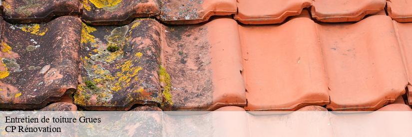 Les travaux de peinture des toits des maisons à Grues dans le 85580 et les localités avoisinantes 