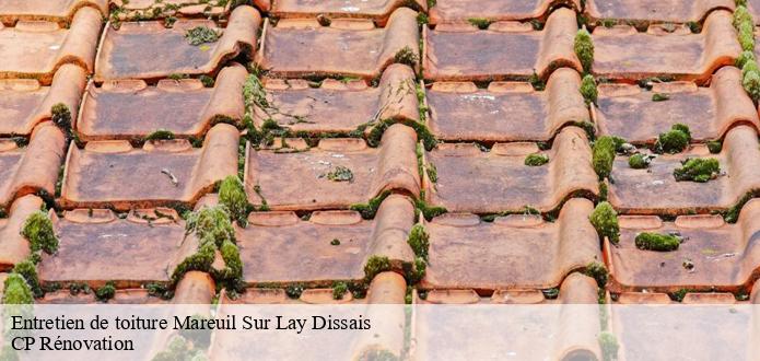 Tout ce qu'il faut savoir sur les travaux de nettoyage des toits à Mareuil Sur Lay Dissais dans le 85320