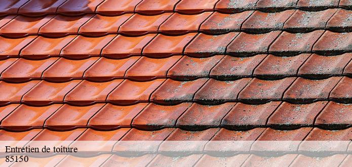 La prévention des fuites et les travaux de nettoyage des toits à Martinet