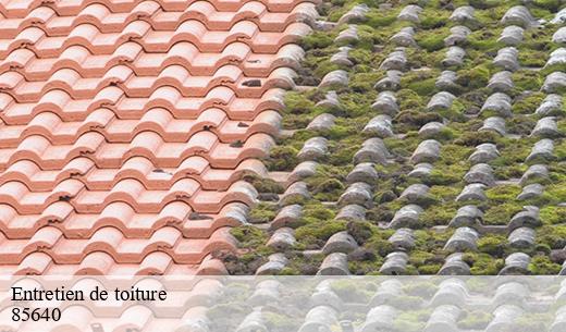 Le nettoyage de la toiture par CP Rénovation à Mouchamps dans le 85640