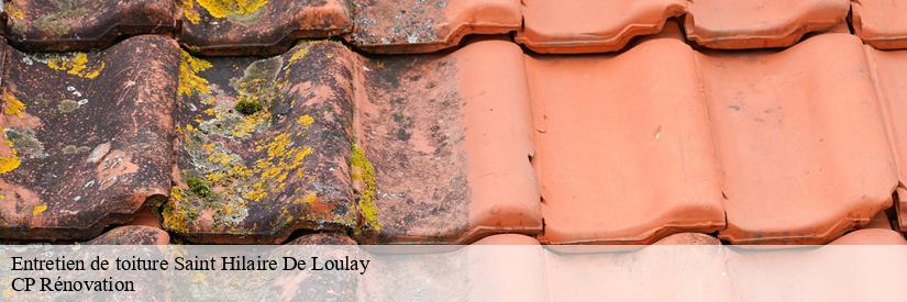 Les travaux de traitement des toits des maisons à Saint Hilaire De Loulay