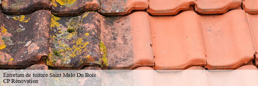 Ce qu'il faut savoir sur les travaux de nettoyage des toits des maisons à Saint Malo Du Bois