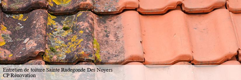 Les travaux de traitement des toits des maisons à Sainte Radegonde Des Noyers