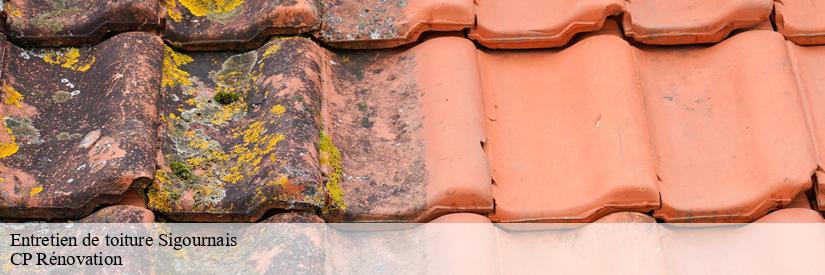 Les travaux de peinture et l'intervention de CP Rénovation à Sigournais dans le 85110