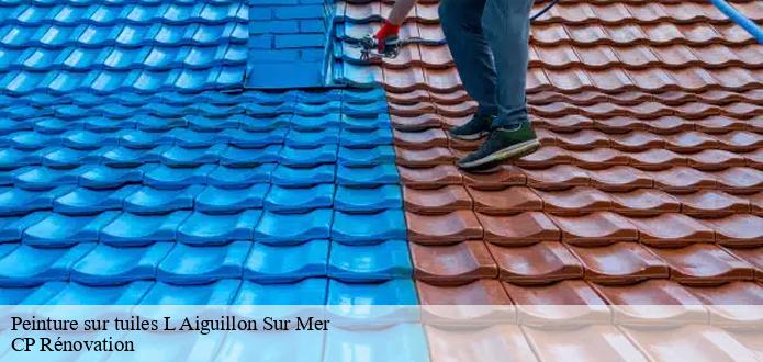 Tout ce qu'il faut savoir sur les travaux de peinture des tuiles à L Aiguillon Sur Mer