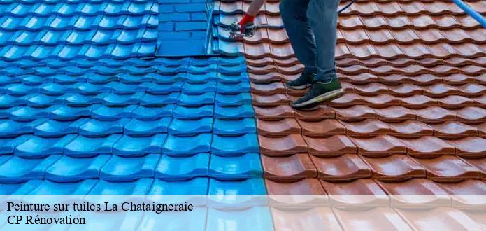 L'utilisation de la peinture acrylique pour les tuiles à La Chataigneraie dans le 85120