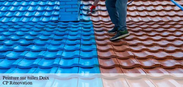 L'amélioration esthétique et la peinture des tuiles à Doix dans le 85200 et les localités avoisinantes 
