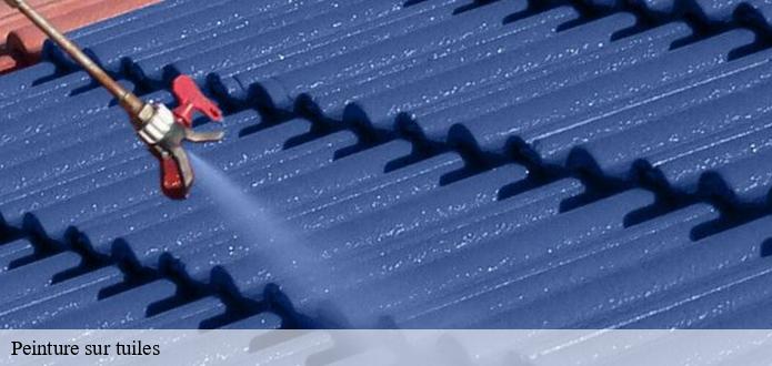 La peinture époxy pour les tuiles à Le Fenouiller dans le 85800