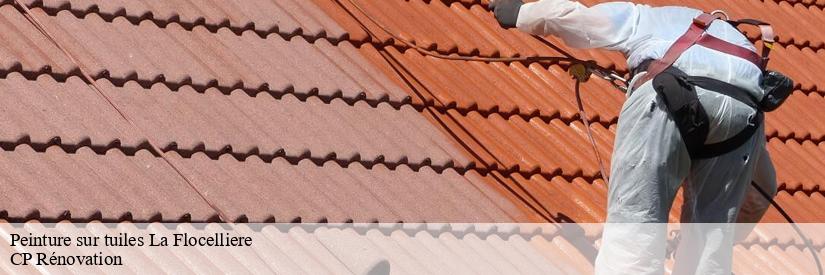 Les travaux de peinture pour les tuiles dans le 85700