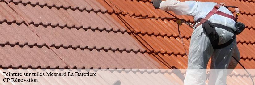 Les travaux de peinture pour les tuiles dans le 85500