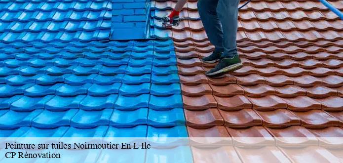 L'augmentation de la valeur de la propriété et les travaux de peinture des tuiles à Noirmoutier En L Ile 