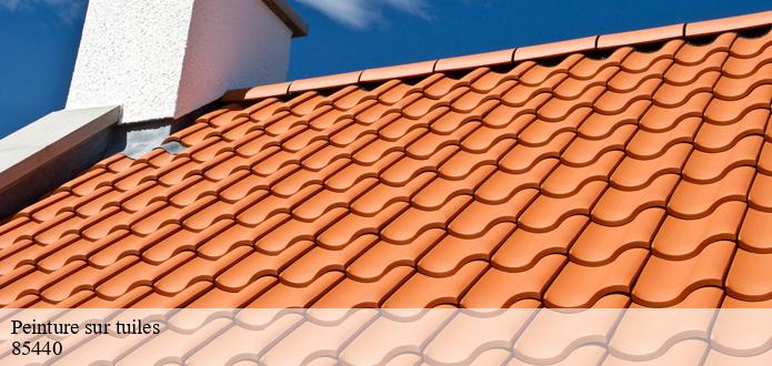 La peinture des tuiles et la réduction de l'empreinte environnementale à Poiroux dans le 85440