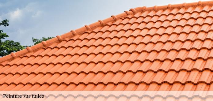 Les travaux de peinture pour les tuiles dans le 85100