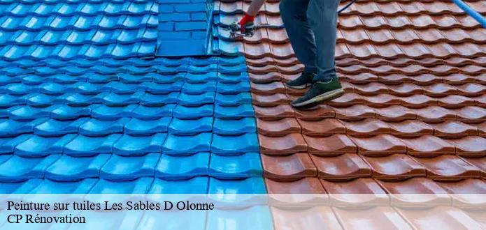 La peinture à base de silicone pour les tuiles à Les Sables D Olonne dans le 85100