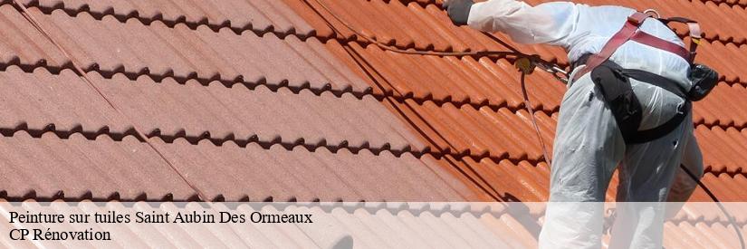 L'augmentation de la valeur de la propriété et les travaux de peinture des tuiles à Saint Aubin Des Ormeaux 
