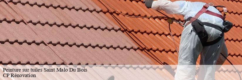 Ce qu'il faut savoir sur l'application des peintures à base de polyuréthane sur les tuiles à Saint Malo Du Bois dans le 85590