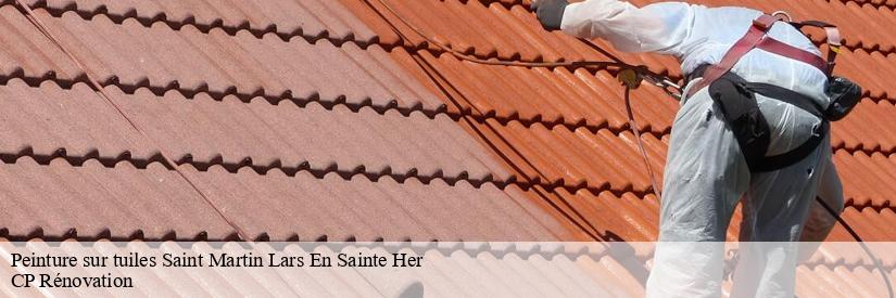 La peinture des tuiles et la prévention du développement des végétations à Saint Martin Lars En Sainte Her dans le 85210 