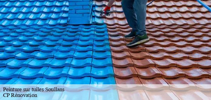 CP Rénovation : un habitué des travaux de peinture des tuiles à Soullans dans le 85300