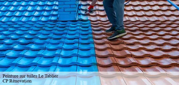 CP Rénovation : la personne qualifiée pour la peinture des tuiles à Le Tablier dans le 85310