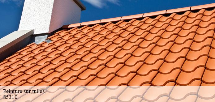 L'utilisation de la peinture acrylique pour les tuiles à Le Tablier dans le 85310