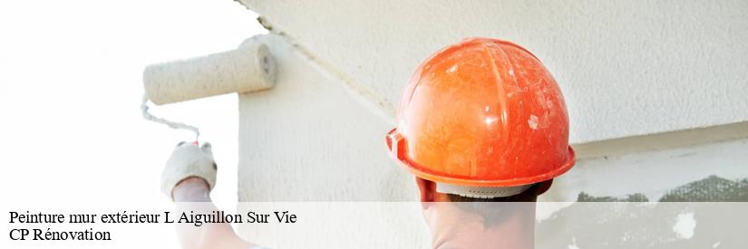 Ce qu'il faut savoir sur les travaux de peinture des murs extérieurs à L Aiguillon Sur Vie dans le 85220