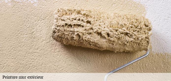 Tout ce qu'il faut savoir sur les travaux de peinture des murs extérieurs à L Aiguillon Sur Vie