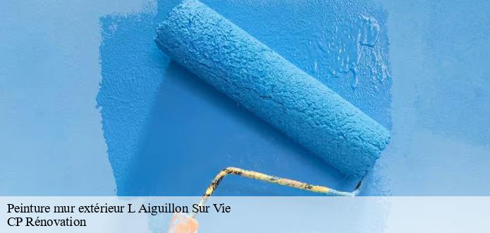 Toutes les informations à savoir sur les peintures des murs extérieurs à L Aiguillon Sur Vie