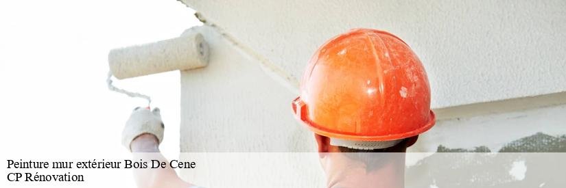 Qui peut effectuer les travaux de peinture des murs extérieurs à Bois De Cene dans le 85710?