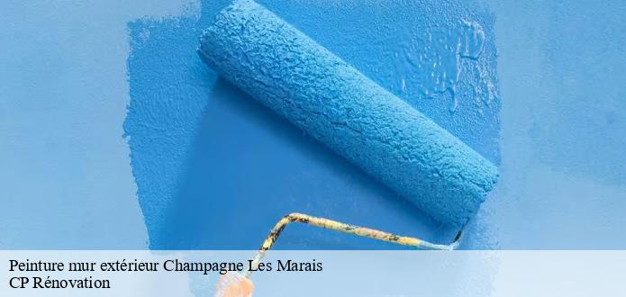 La peinture des murs extérieurs : une spécialité de CP Rénovation à Champagne Les Marais dans le 85450