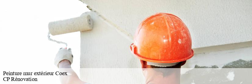 La peinture des murs extérieurs par CP Rénovation à Coex dans le 85220