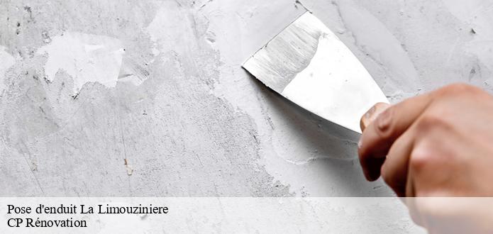 À qui peut-on confier les travaux de mise en place des enduits à La Limouziniere?