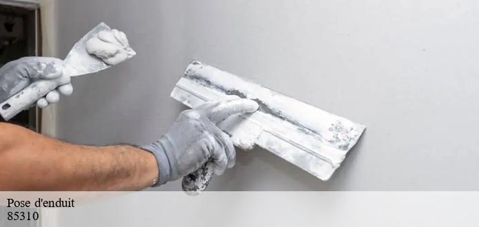 La protection contre les dommages mécaniques et la pose des enduits à La Limouziniere