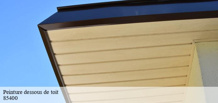 La peinture des dessous de toit et l'augmentation de la valeur de la propriété à Les Magnils Reigniers dans le 85400