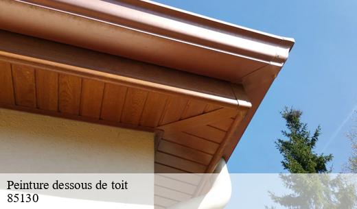 La facilité d'entretien et les travaux de peinture des dessous de toit à Saint Aubin Des Ormeaux dans le 85130