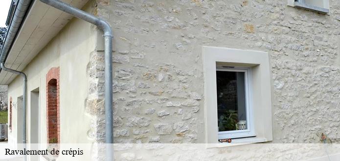 Le ravalement de crépis et la protection contre les fissures à Apremont dans le 85220