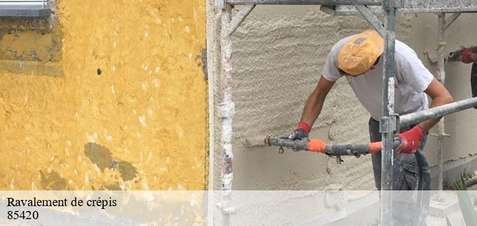 Le ravalement de crépis et la protection contre les fissures à Damvix dans le 85420