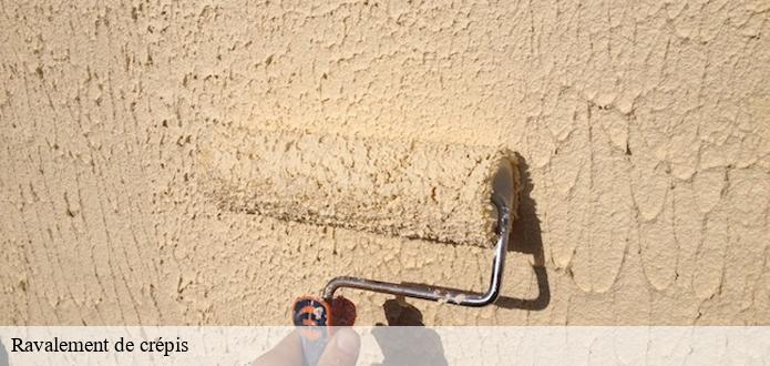 Qui peut effectuer les travaux de ravalement de crépis à Le Langon dans le 85370?